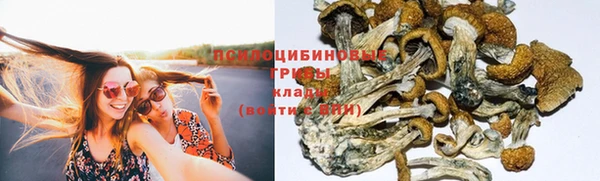 эйфоретик Абаза