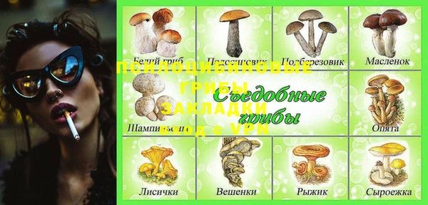 ГАЛЛЮЦИНОГЕННЫЕ ГРИБЫ Абдулино