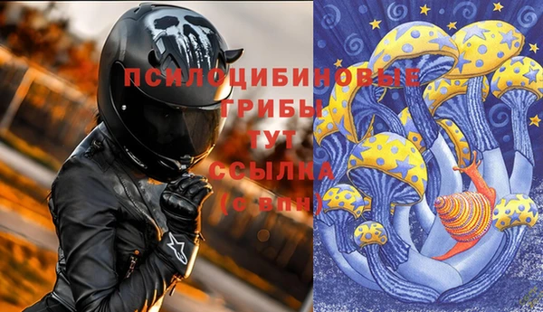 ГАЛЛЮЦИНОГЕННЫЕ ГРИБЫ Абдулино