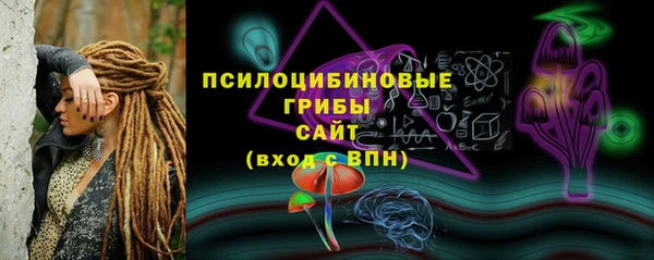ГАЛЛЮЦИНОГЕННЫЕ ГРИБЫ Абдулино