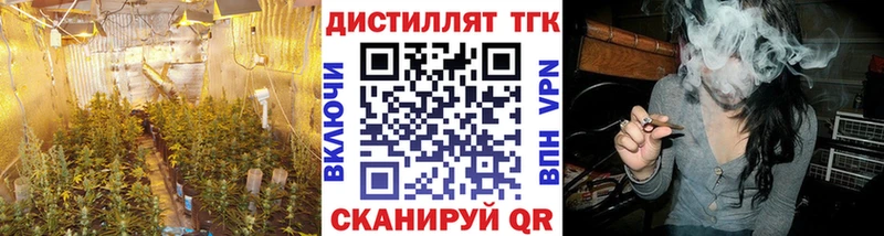 купить наркотики сайты  Тотьма  Дистиллят ТГК гашишное масло 